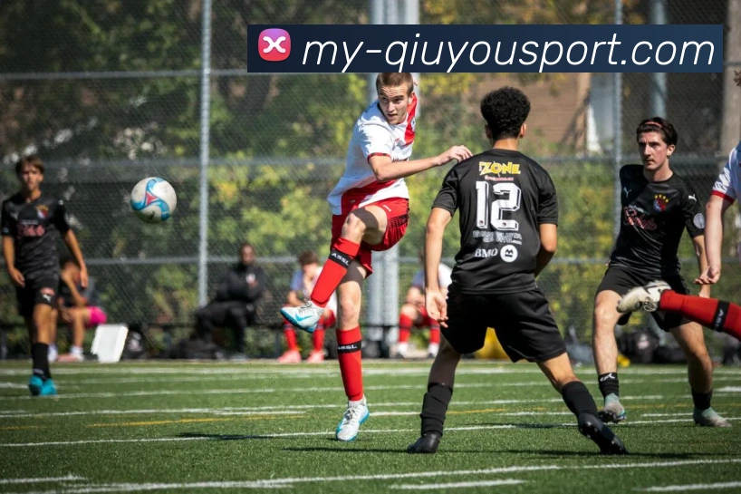 球友会平台生态图